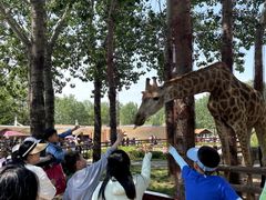 -大连森林动物园