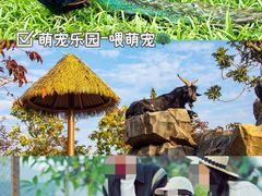 -佛冈森波拉度假区