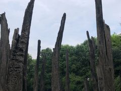 -金沙遗址博物馆