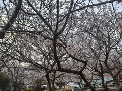 -大连北马山庄