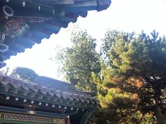 -晋祠公园
