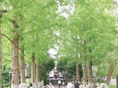 -包公祠