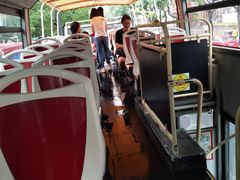 -BUS TOUR观光巴士