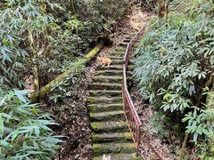 -云南屏边大围山国家公园