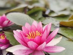 -白马涧龙池景区