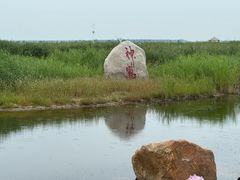 -黑龙江扎龙生态旅游区