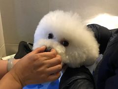 -北京观赏动物医院·24小时大型综合·猫专科·异宠专科