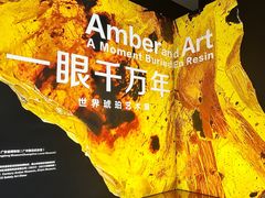 -广东省博物馆
