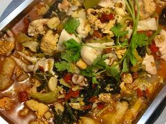 新鲜鱼籽鱼泡锅-聚味罗记大排檔·鲜鱼杂·甲鱼煲•龙虾馆(科学馆店)