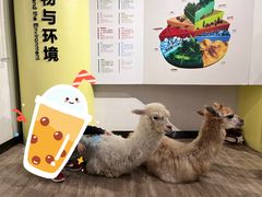 -正佳自然科学博物馆