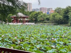 -同德公园