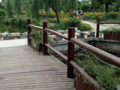 -鹅湖玫瑰文化园