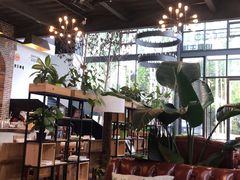大堂-桉树林A coffee 森林餐厅(三圣乡店)