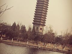 -西海子公园