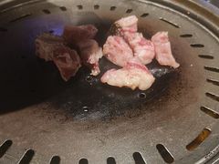 -杨小佳·齐齐哈尔烤肉·烤串(广州店)