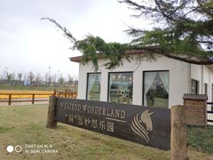 -上海长兴岛郊野公园