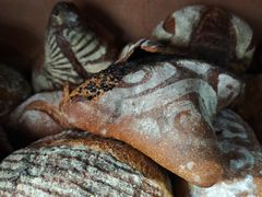 -Juicy Bakery(大学路店)