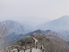 -大岭沟猕猴桃谷风景区