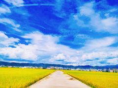 -云南野生动物园