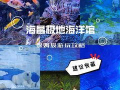 -海合安天津极地海洋公园