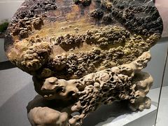-青田石雕博物馆