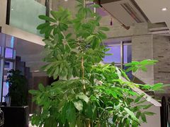 -新沸腾鱼乡(世贸天阶店)