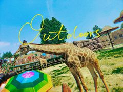 -济南野生动物世界