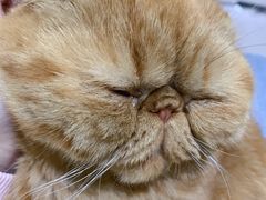 -猫和宫(六道口店)
