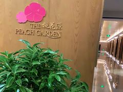 -桃花源中餐厅(金茂豪华精选酒店)