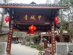 -青城甲(青城山店)