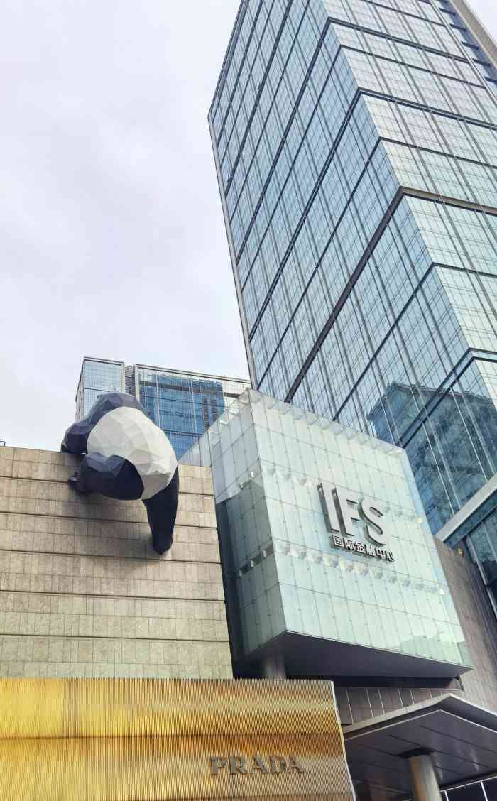成都ifs-"一定要看看ifs"那只爬墙的熊猫" 熊."-大众点评移动版