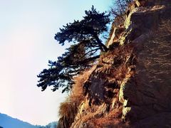 -泰山风景名胜区