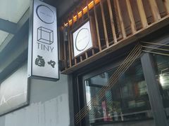 -TINY