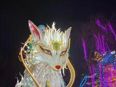 -淄博花灯齐彩城