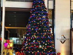 -富力希尔顿酒店·地阔自助餐厅