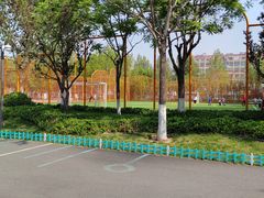 -张店儿童公园