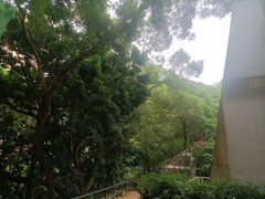 -香港大学