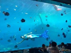 -瑞德姆美人鱼海底演艺主题餐厅(亚龙湾店)