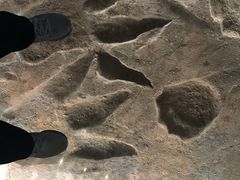 -湖南省地质博物馆