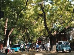 -北京国子监胡同