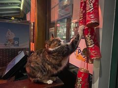 -宝莱纳餐厅(滨江店)