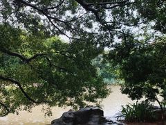 -小洲村