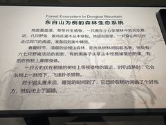 -诸暨博物馆
