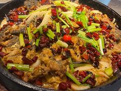 -老板恋上鱼(恒隆广场店)