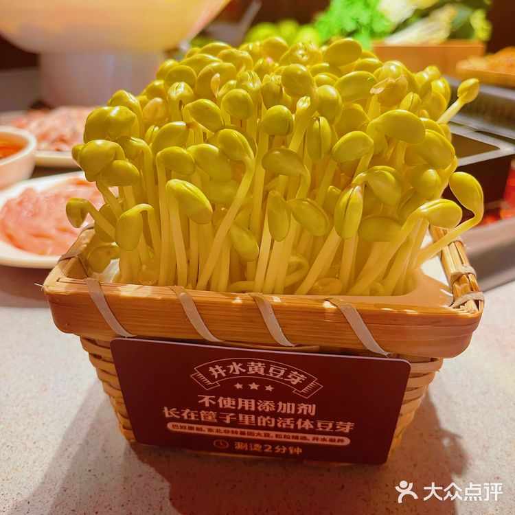 🌟北京探店｜火锅必吃·巴奴毛肚火锅🔥