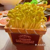 🌟北京探店｜火锅必吃·巴奴毛肚火锅🔥