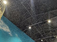 -Mr·Kuma酷么先生雪之乐园