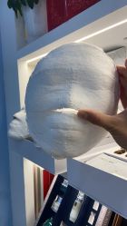 -Cream88颜皮肤管理中心