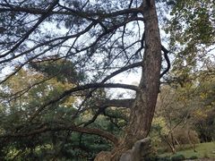 -杭州植物园