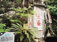 -星湖旅游景区七星岩